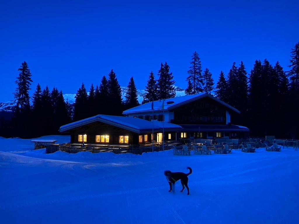 Erezsaesshuette Villa Klosters Exteriör bild